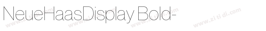 NeueHaasDisplay Bold字体转换